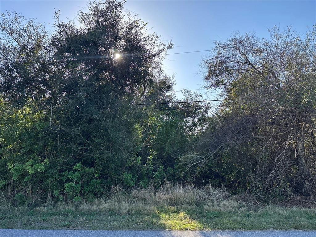 369 San Cristobal Avenue Punta Gorda, FL 33983 - Photo 2 of 8