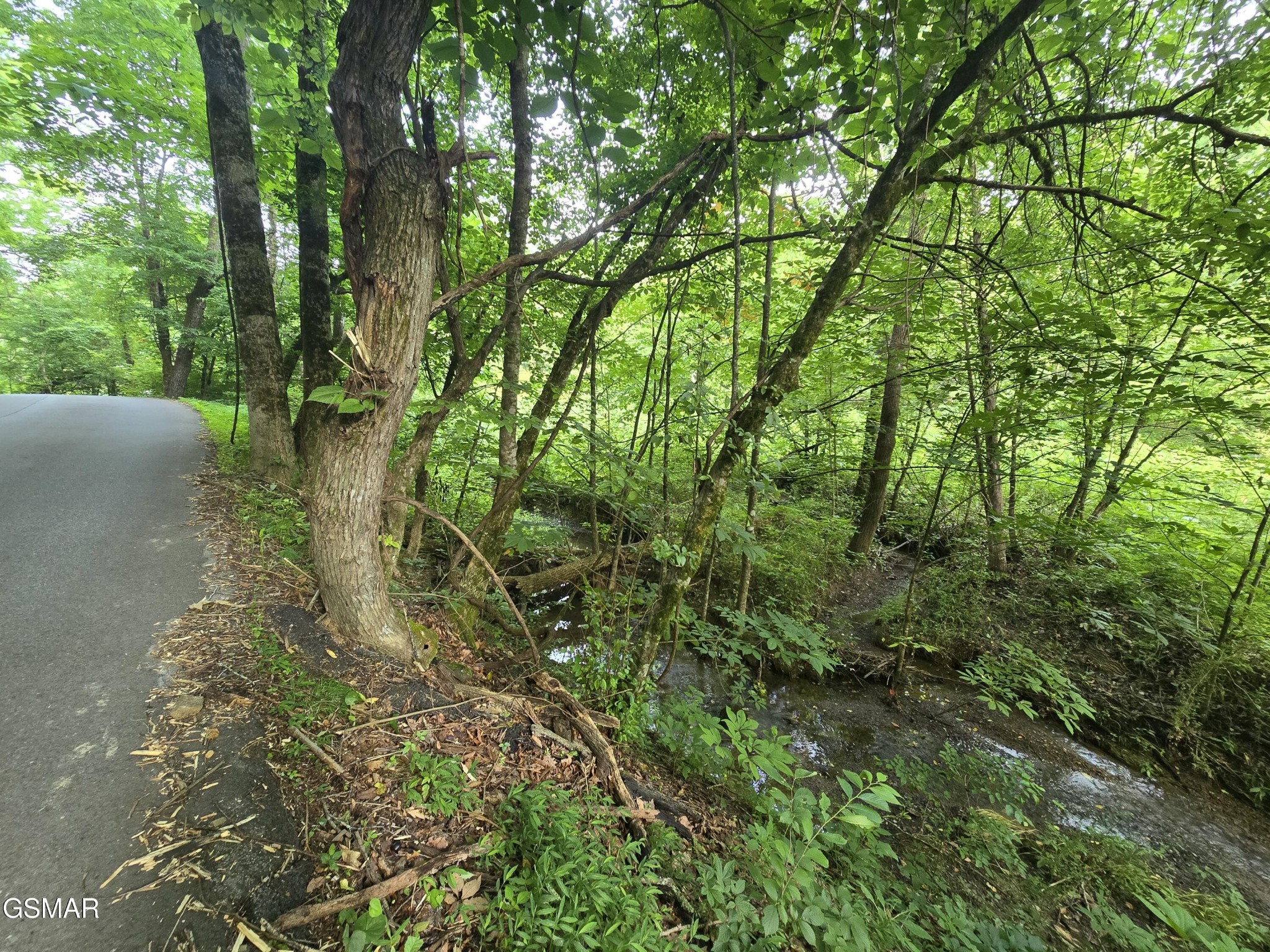 8 McCarter Hollow Road Sevierville, TN 37862 - Photo 19 of 26