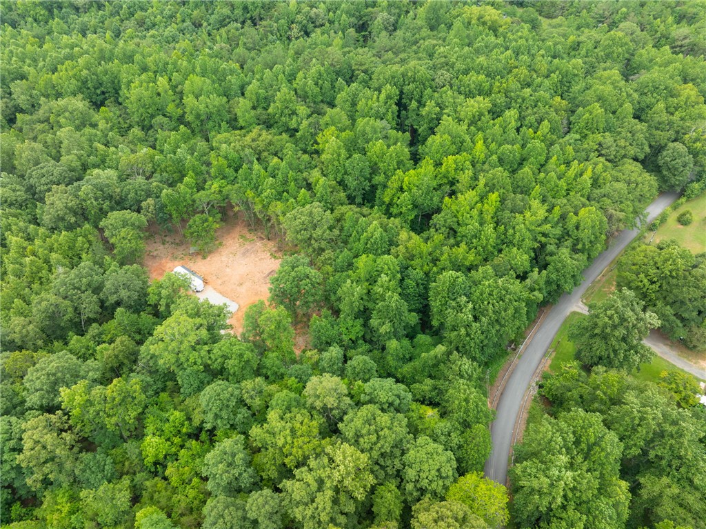 130 Chandler Road Easley, SC 29640 - Photo 4 of 24 A secluded, treed parcel with a cleared build site awaits your dream home.