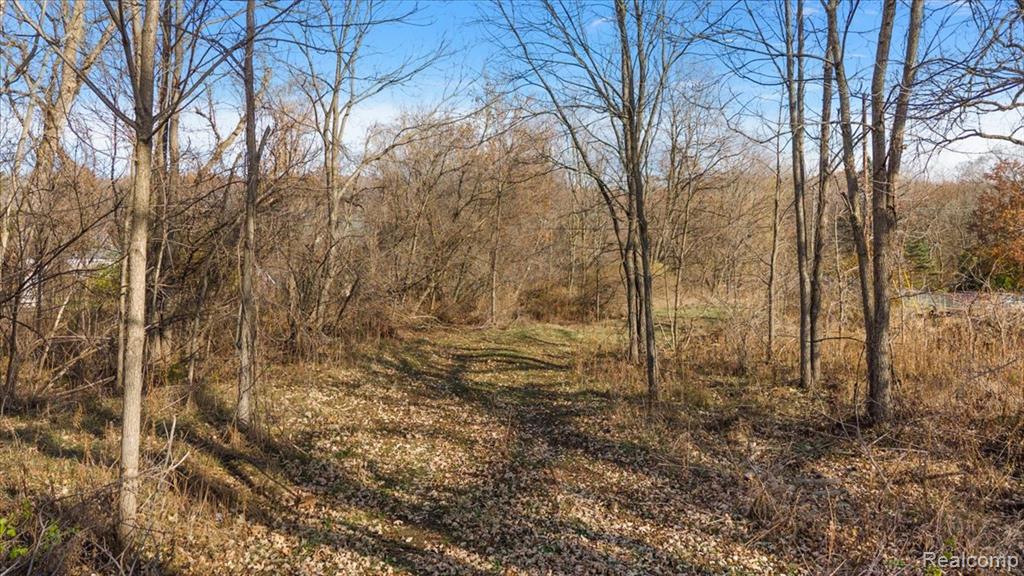 0 Collins Road Oakland, MI 48306 - Photo 11 of 16