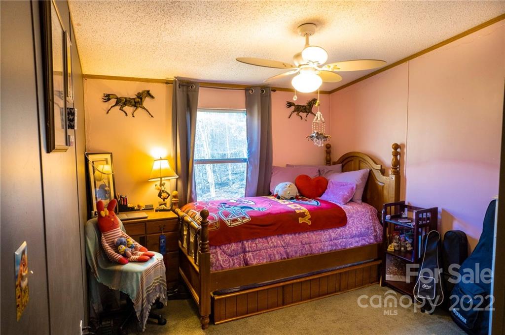 479 Cap Johnson Road Bryson City, NC 28713 - Photo 23 of 30 Gallery Image 23
