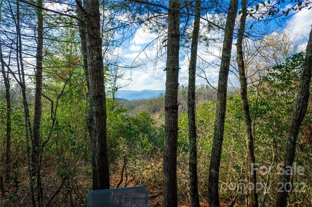 479 Cap Johnson Road Bryson City, NC 28713 - Photo 28 of 30 Gallery Image 28