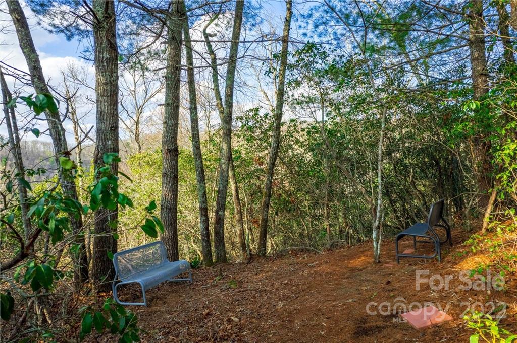 479 Cap Johnson Road Bryson City, NC 28713 - Photo 29 of 30 Gallery Image 29