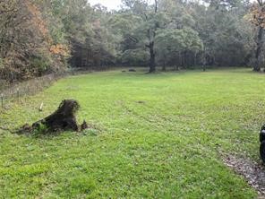3307 Hamilton Circle Conroe, TX 77304 - Photo 2 of 16 a view of a yard