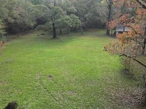 3307 Hamilton Circle Conroe, TX 77304 - Photo 3 of 16 a backyard of a house with lots of green space