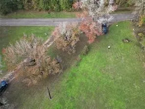 a view of a garden with a lake