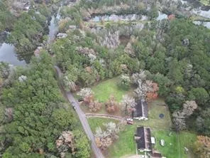 a view of a yard with a tree