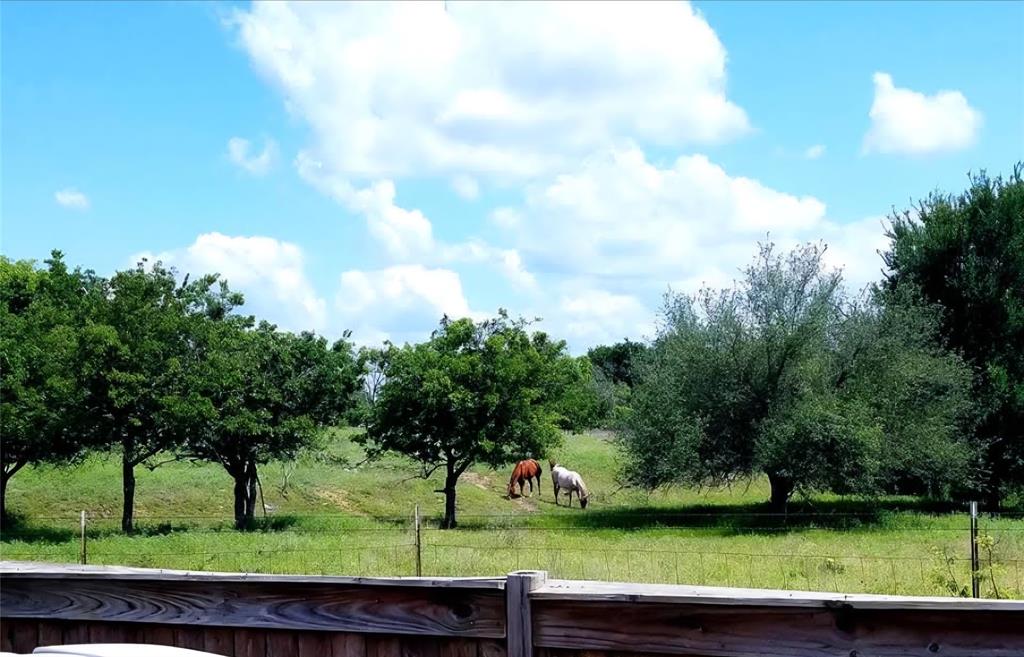 1118 Elk Ridge Drive Stephenville, TX 76401 - Photo 12 of 40 a view of a park