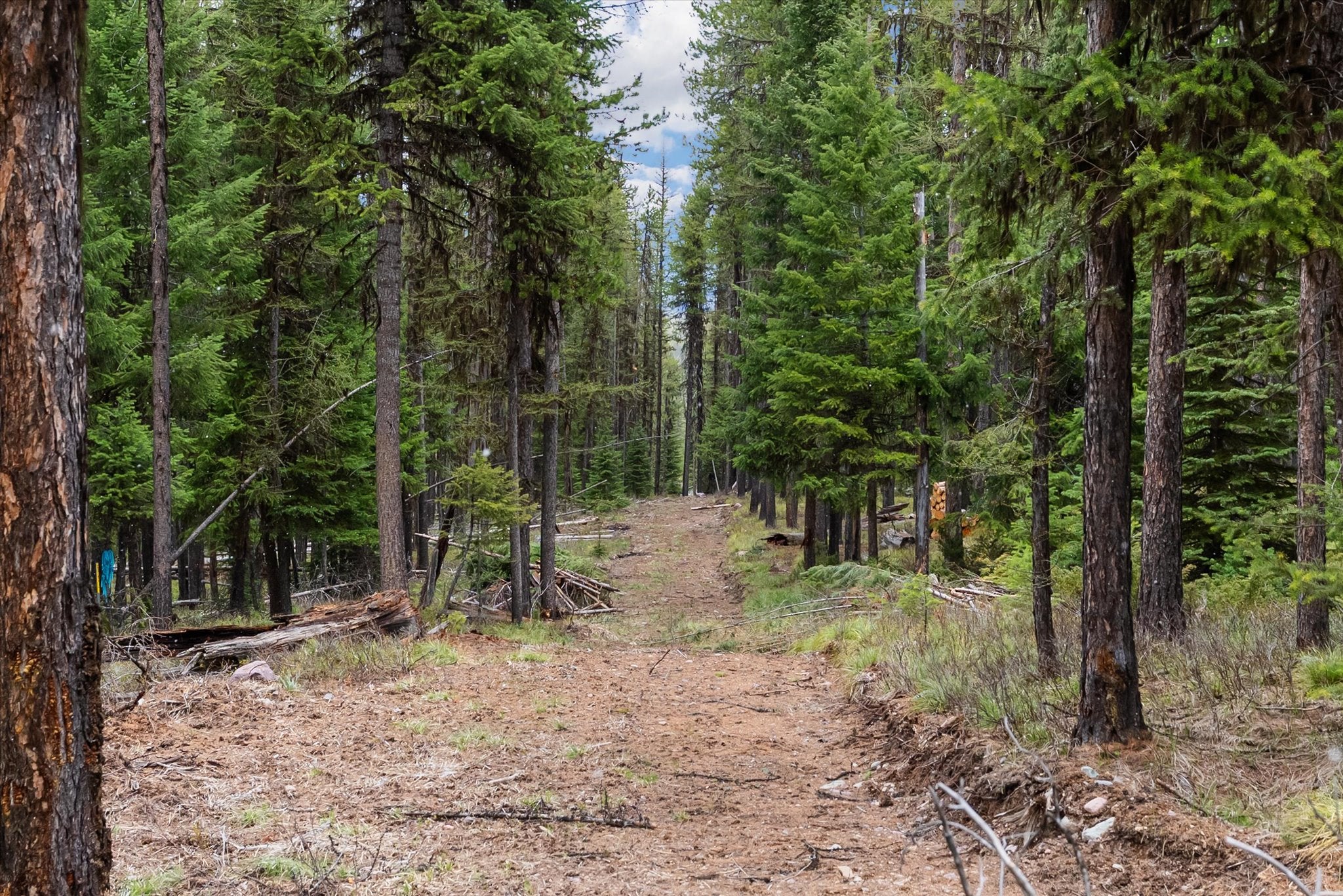 1030 Old Barn Road Seeley Lake, MT 59868 - Photo 10 of 19 Gallery Image 10