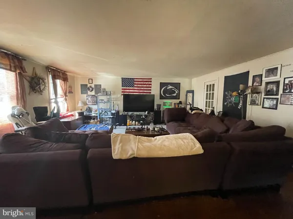 a living room with furniture potted plant and a window