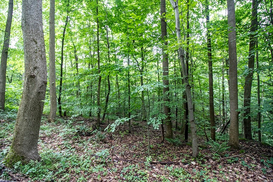 5854 Dog Run Road Mineral City, OH 44656 - Photo 16 of 24