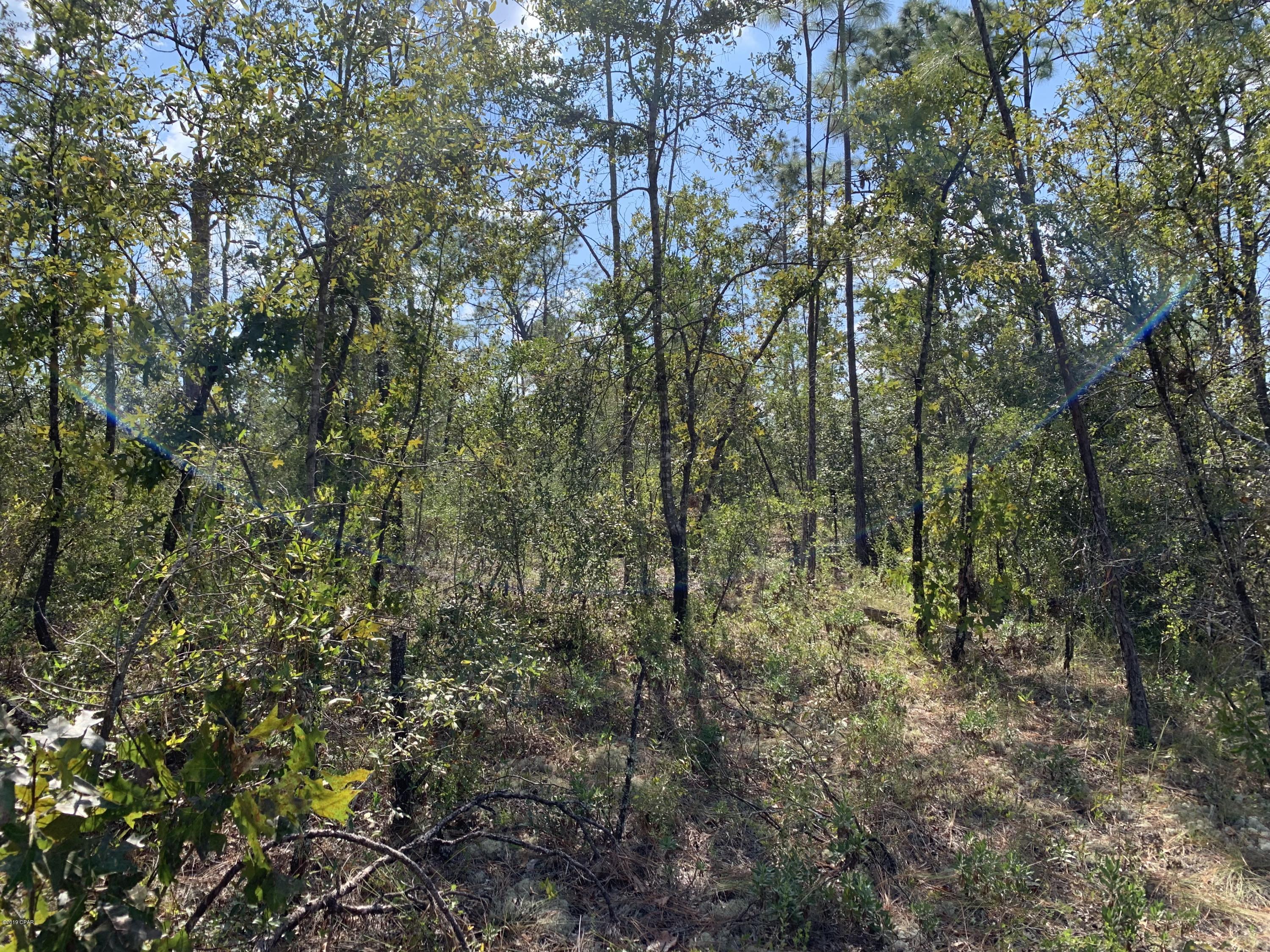 0 Pitts Road Fountain, FL 32438 - Photo 11 of 21 Gallery Image 11