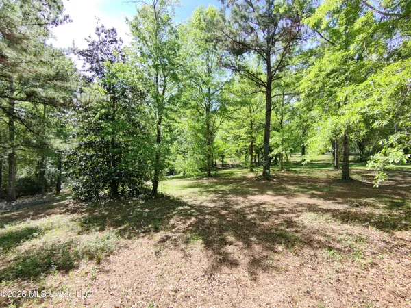 $35,000 | Rue Street, Carriere, MS 39426