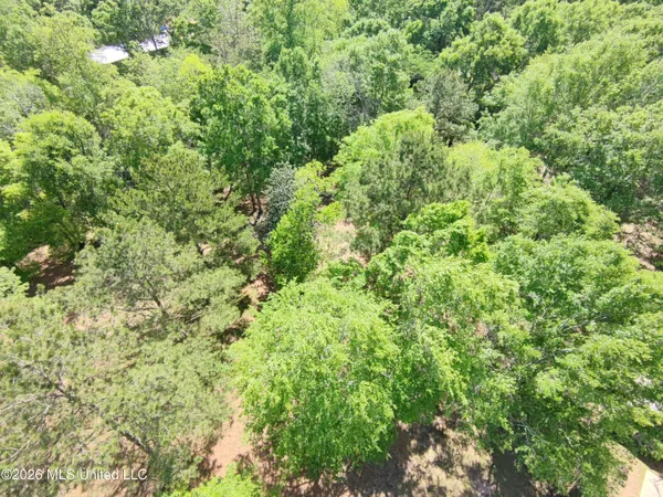 $35,000 | Rue Street, Carriere, MS 39426