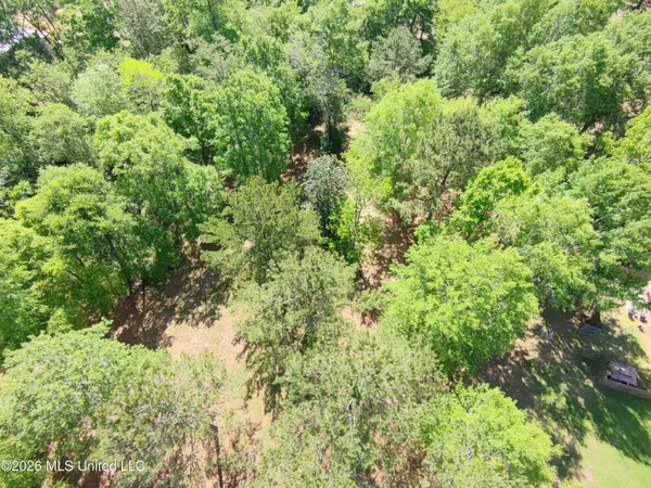 $35,000 | Rue Street, Carriere, MS 39426