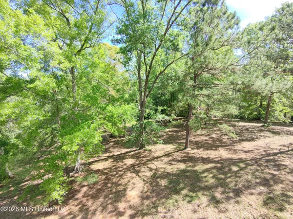 $35,000 | Rue Street, Carriere, MS 39426