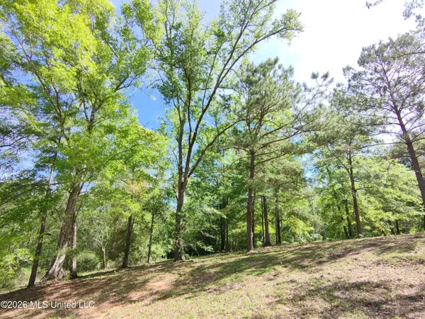 $35,000 | Rue Street, Carriere, MS 39426