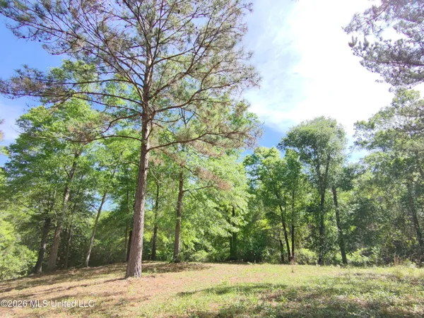 $35,000 | Rue Street, Carriere, MS 39426