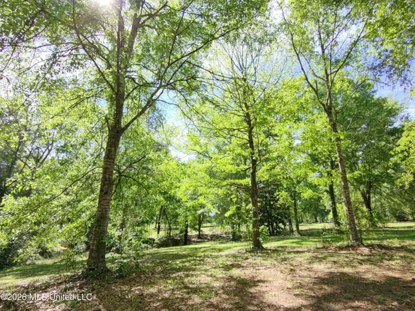 $35,000 | Rue Street, Carriere, MS 39426