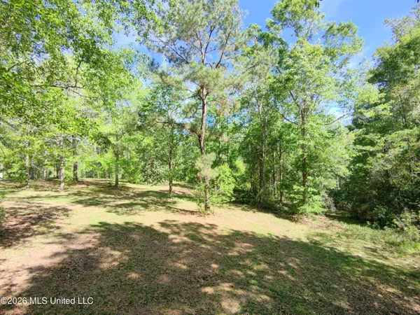 $35,000 | Rue Street, Carriere, MS 39426