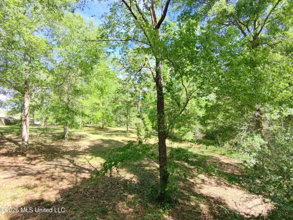 $35,000 | Rue Street, Carriere, MS 39426