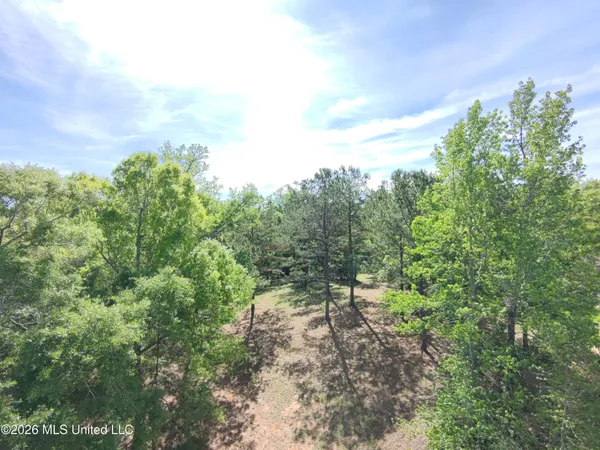 $35,000 | Rue Street, Carriere, MS 39426