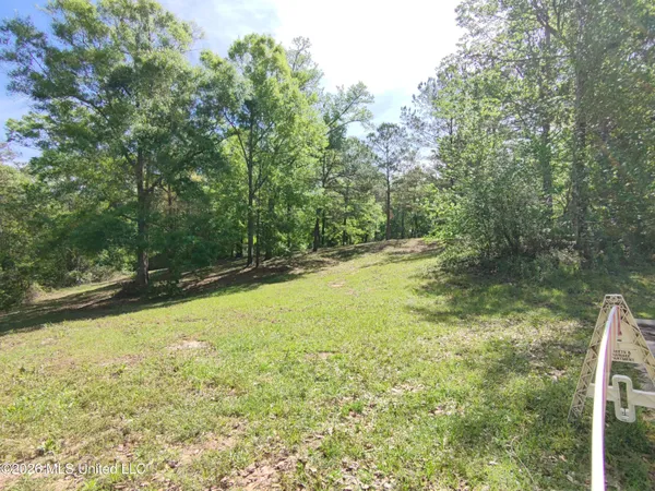 $35,000 | Rue Street, Carriere, MS 39426