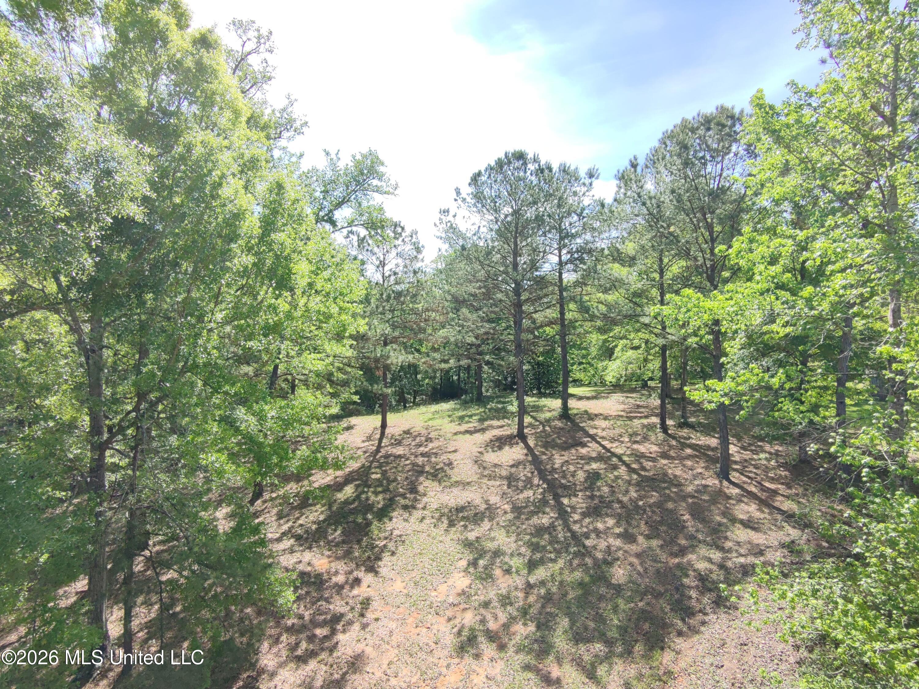 Rue Street Carriere, MS 39426 - Photo 4 of 18 HOVER_20260407_1775590292957