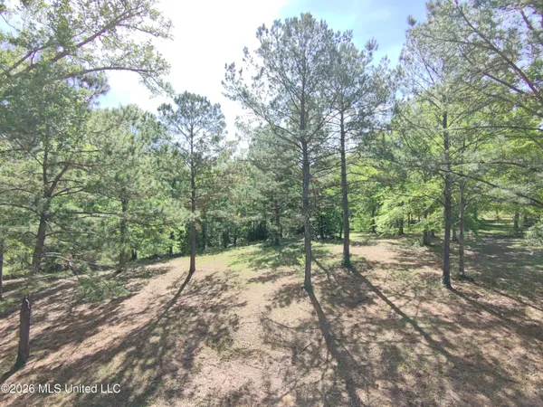 $35,000 | Rue Street, Carriere, MS 39426