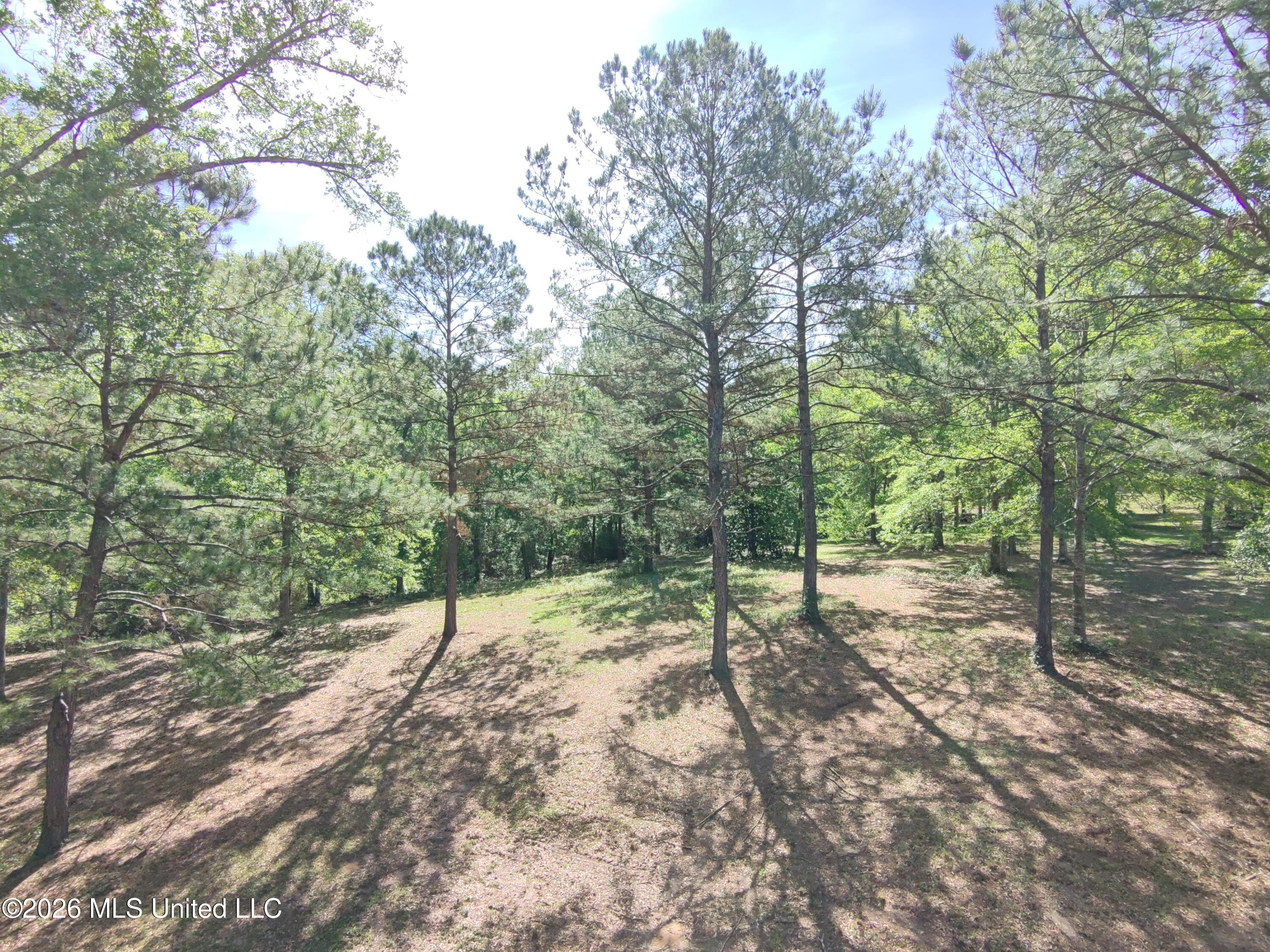 Rue Street Carriere, MS 39426 - Photo 5 of 18 HOVER_20260407_1775590295551