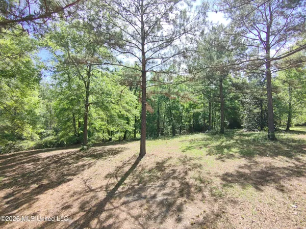 $35,000 | Rue Street, Carriere, MS 39426