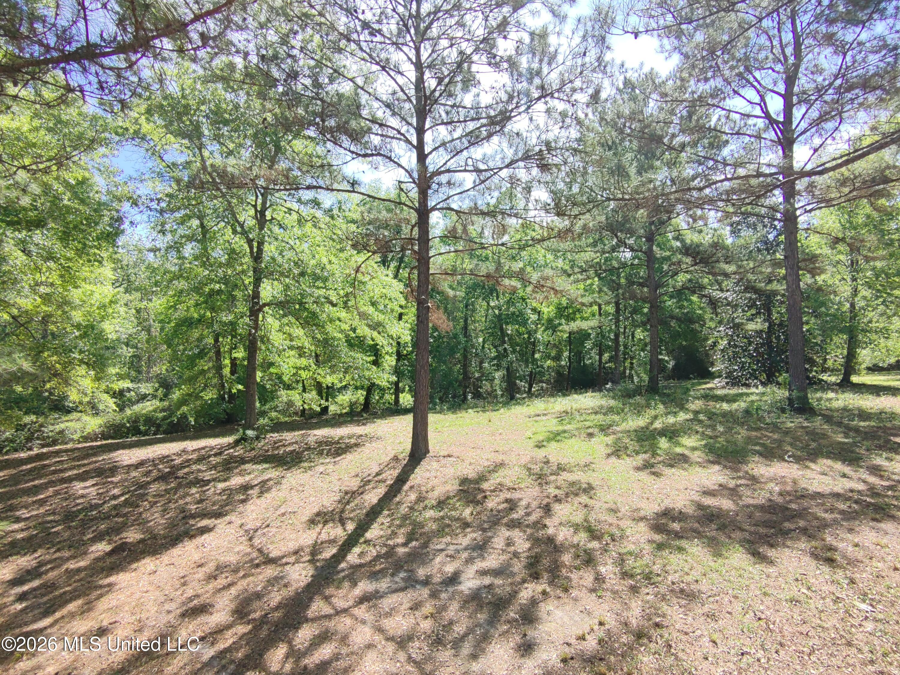 Rue Street Carriere, MS 39426 - Photo 6 of 18 HOVER_20260407_1775590298652