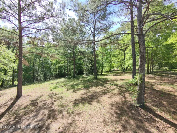 $35,000 | Rue Street, Carriere, MS 39426