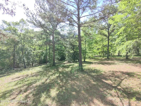 $35,000 | Rue Street, Carriere, MS 39426
