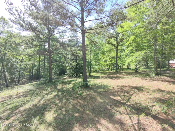 $35,000 | Rue Street, Carriere, MS 39426