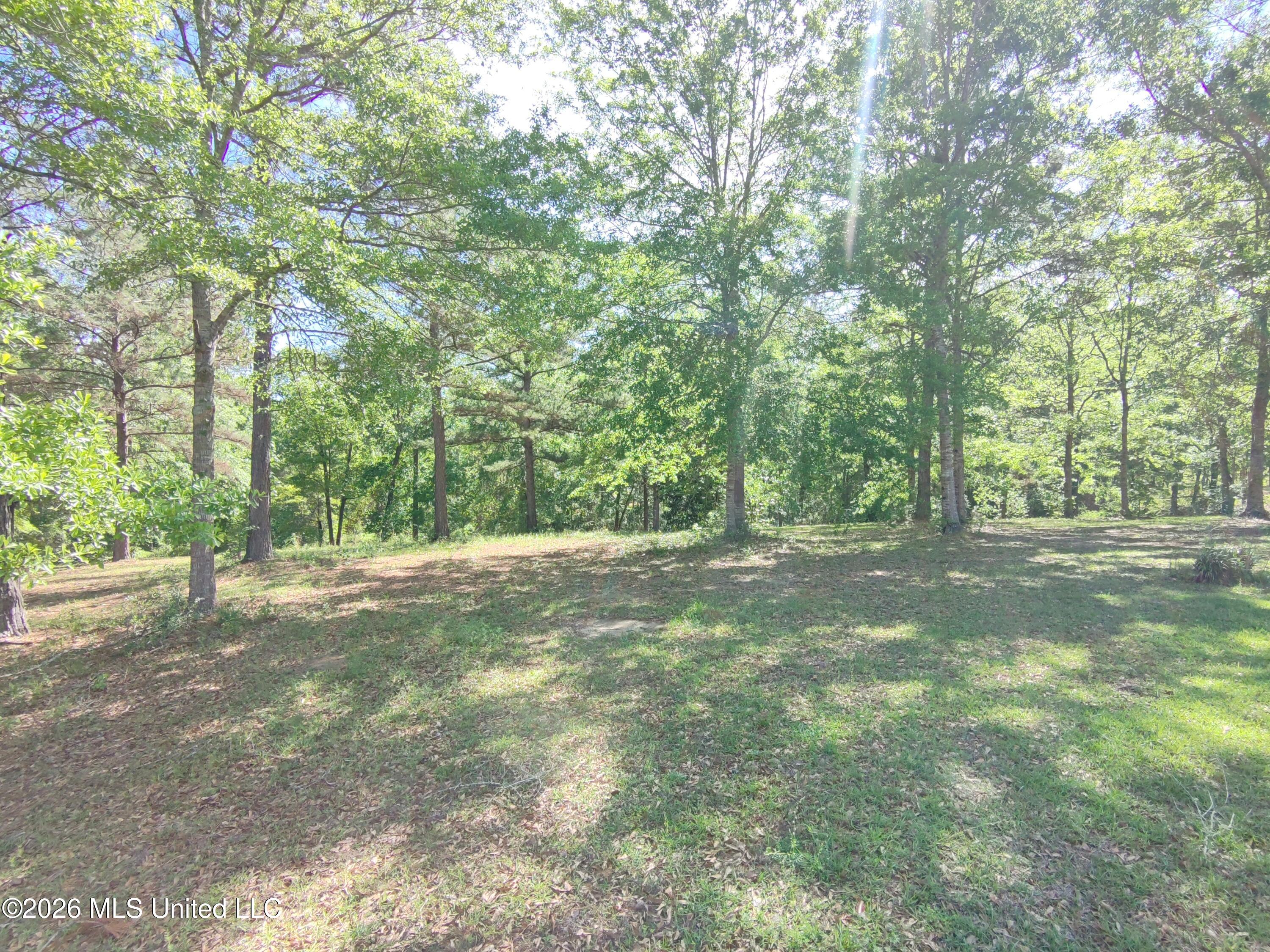 Rue Street Carriere, MS 39426 - Photo 10 of 18 HOVER_20260407_1775590314505