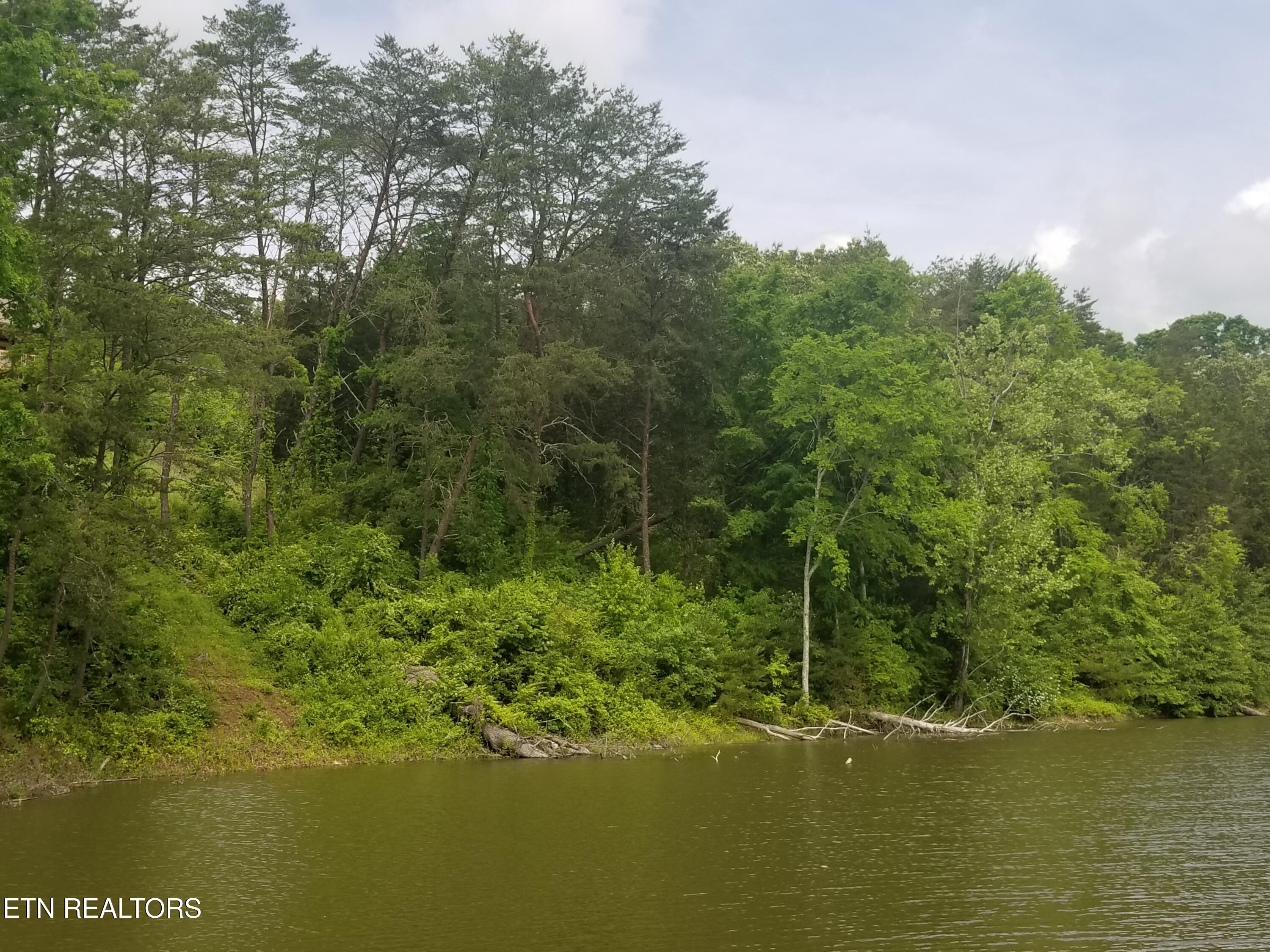 Lot 61 Whispering Court Bean Station, TN 37708 - Photo 14 of 20 20180517_113657