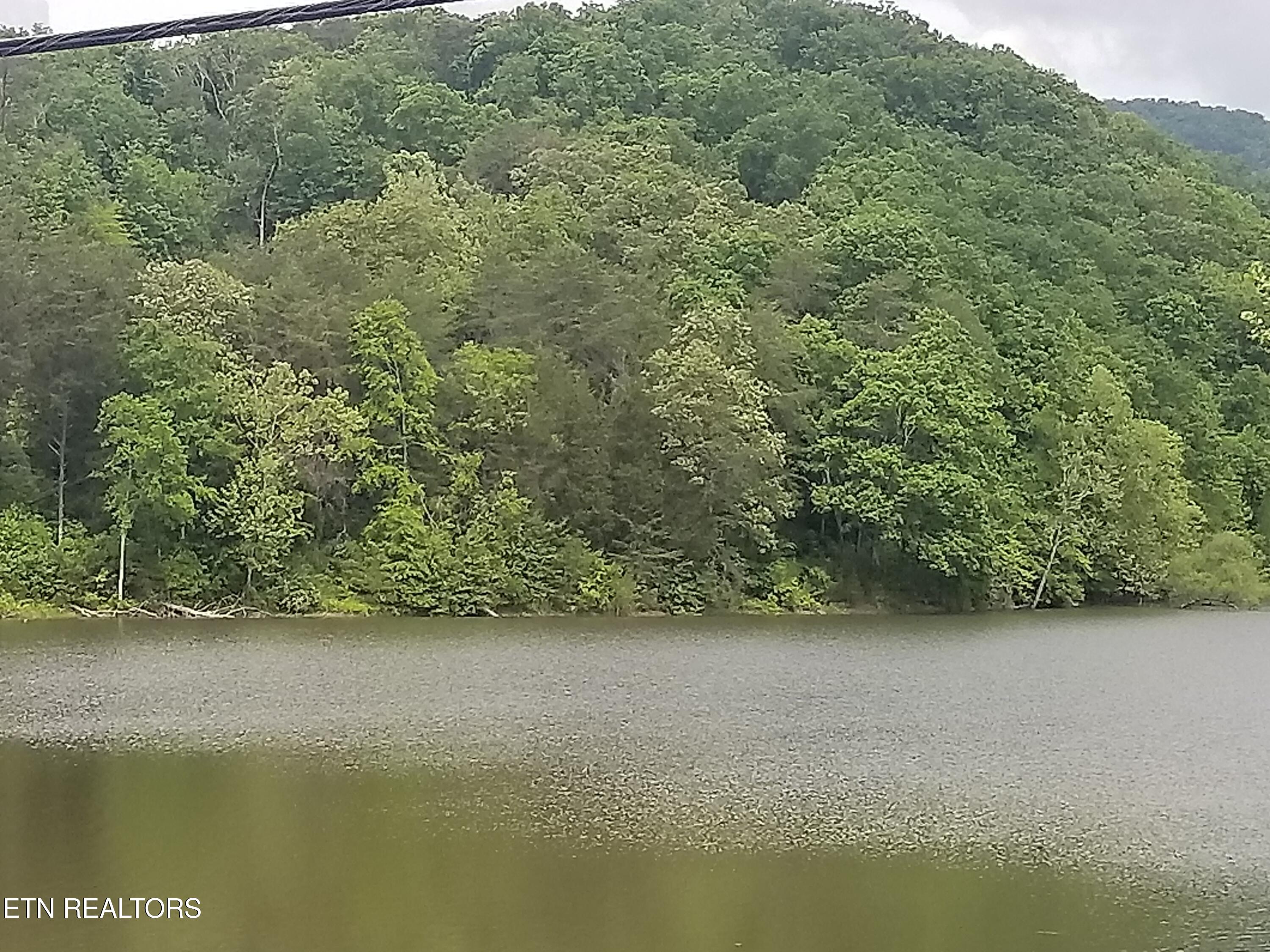 Lot 61 Whispering Court Bean Station, TN 37708 - Photo 19 of 20 20180517_114251