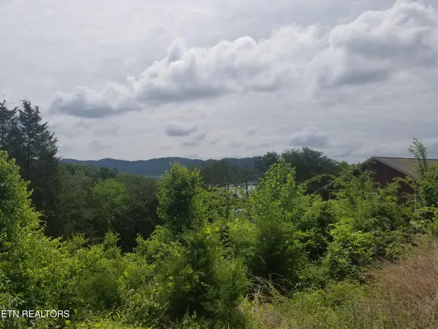 $34,900 | Lot 61 Whispering Court, Bean Station, TN 37708
