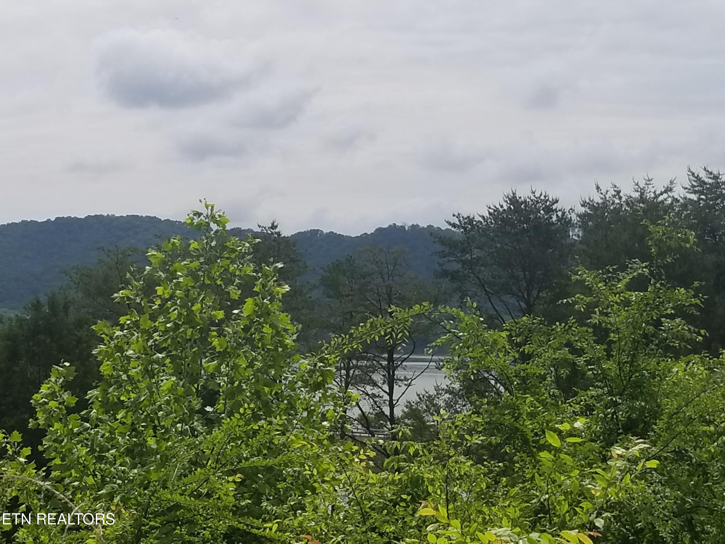 Lot 61 Whispering Court Bean Station, TN 37708 - Photo 3 of 20 20180517_113019