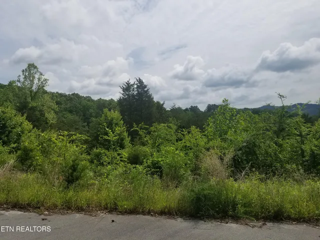 $34,900 | Lot 61 Whispering Court, Bean Station, TN 37708