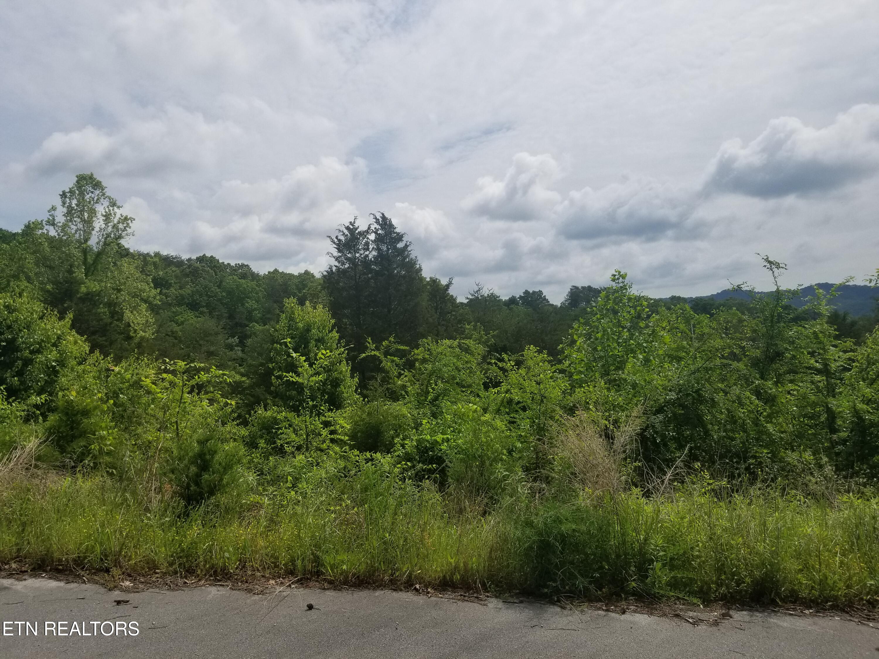 Lot 61 Whispering Court Bean Station, TN 37708 - Photo 4 of 20 20180517_113038