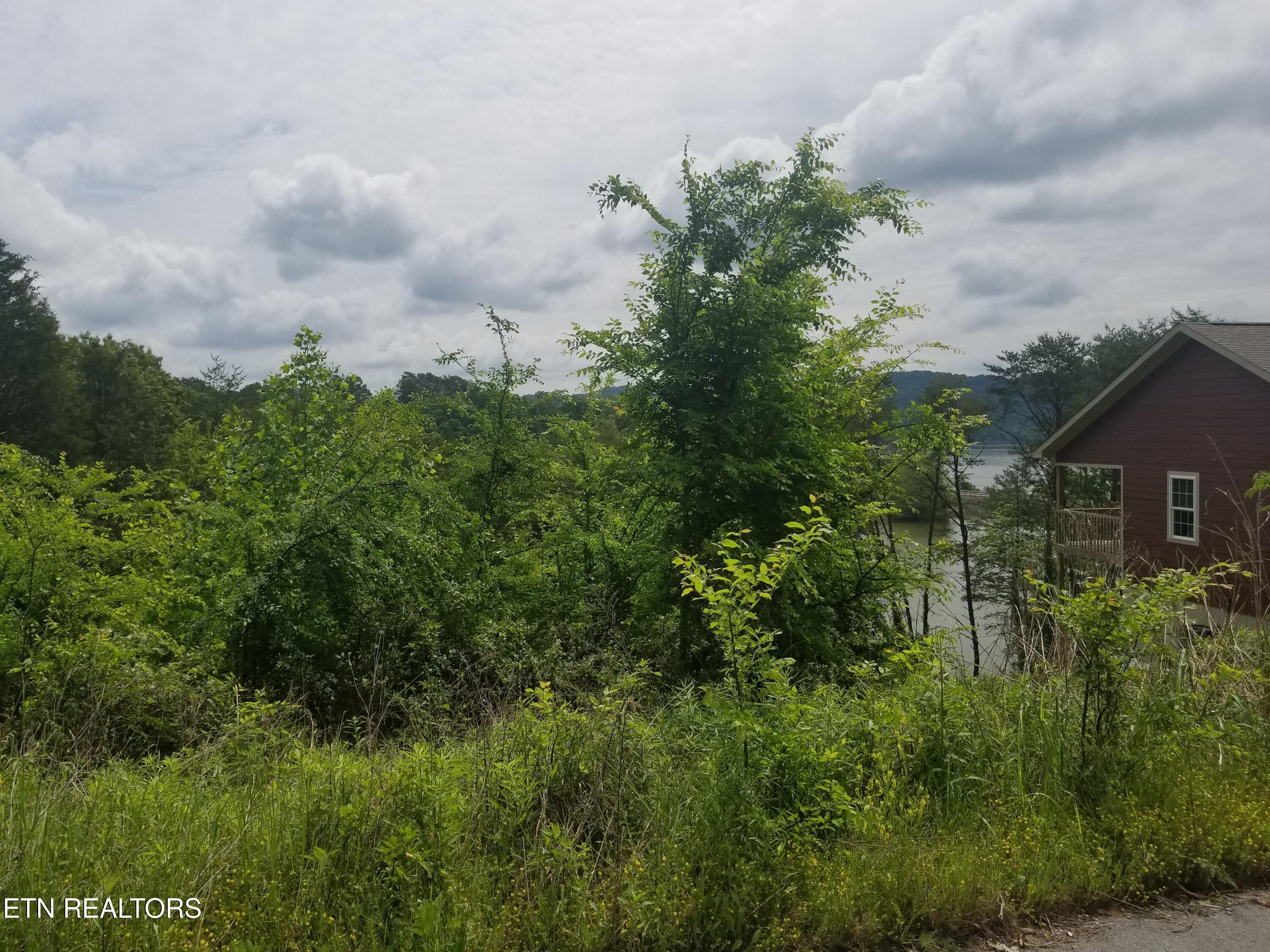 Lot 61 Whispering Court Bean Station, TN 37708 - Photo 6 of 20 20180517_113222