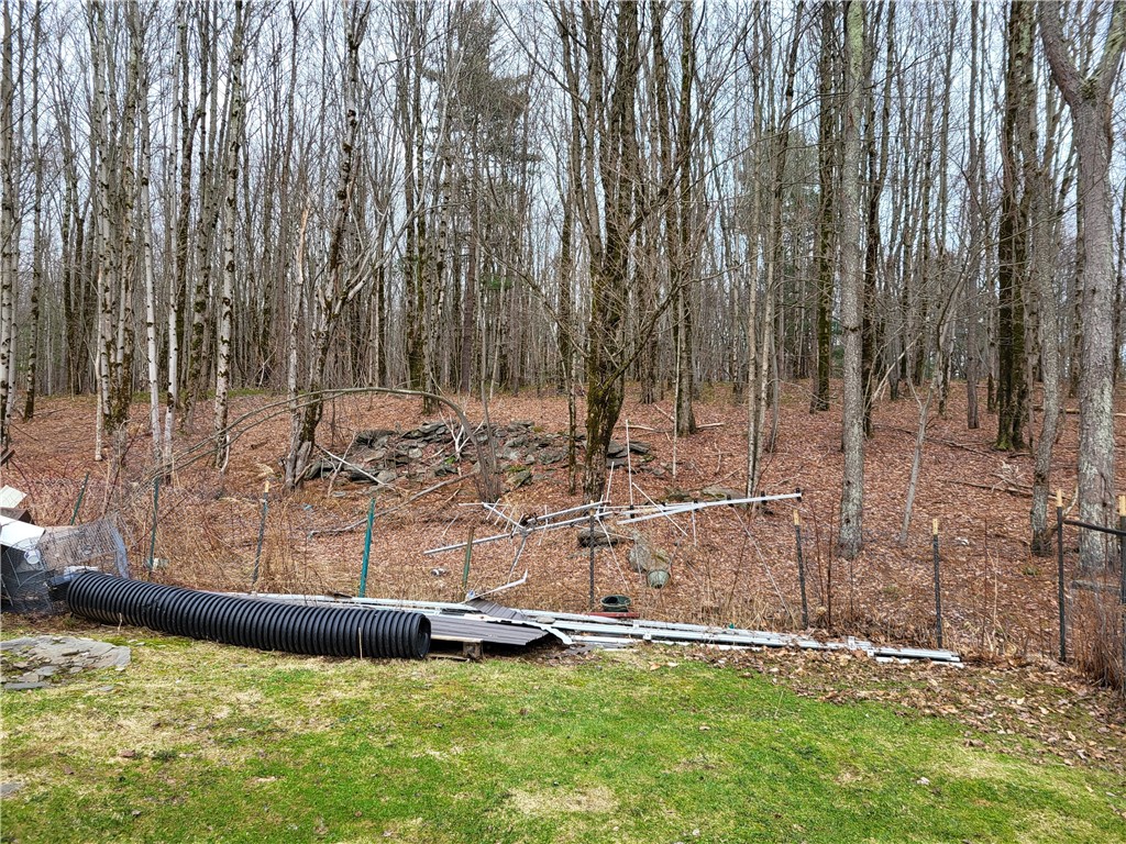 538 Ceresna Road Delhi, NY 13753 - Photo 26 of 33 rear view