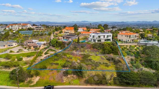 a view of a garden from a window