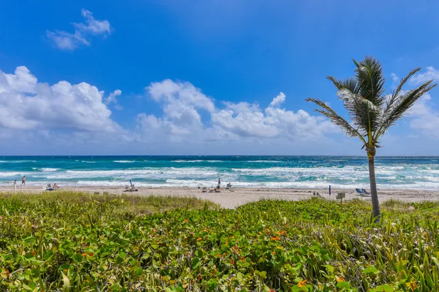 a view of a lake with a big yard