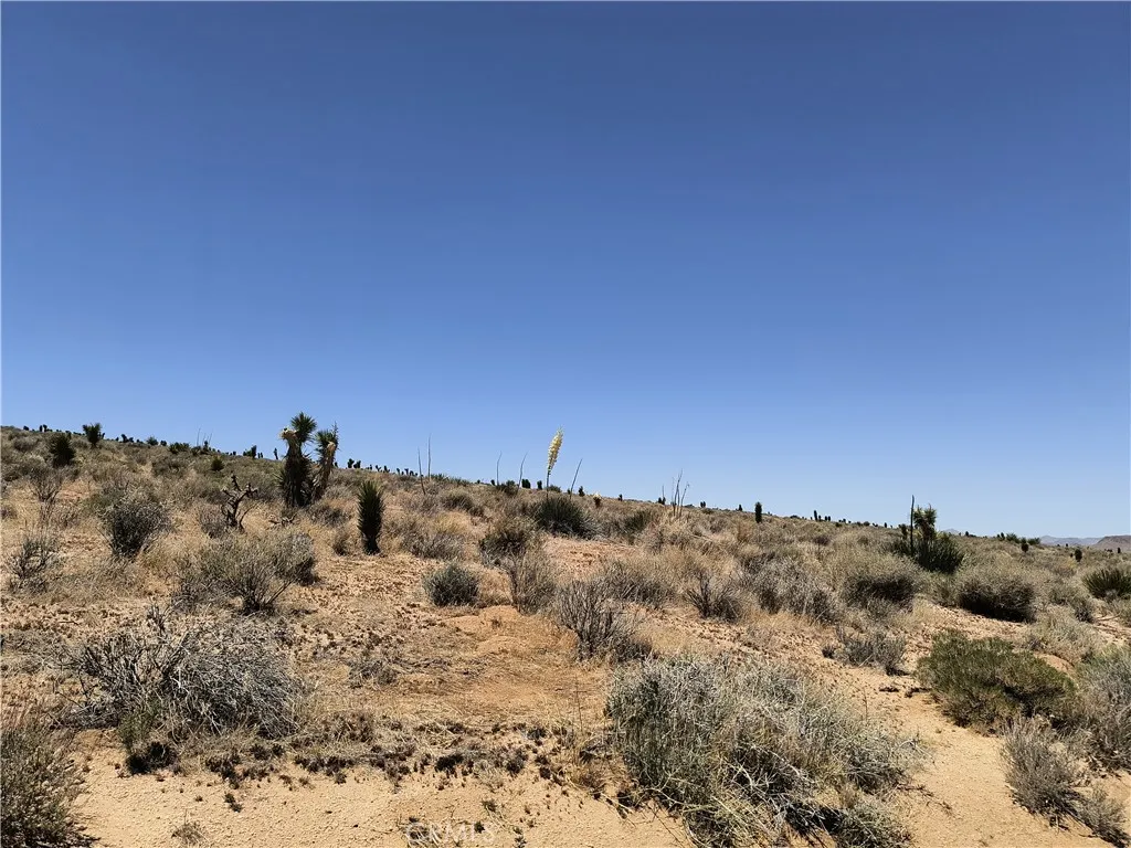 22 Canyon View Road Apple Valley, CA 92308 - Photo 8 of 10