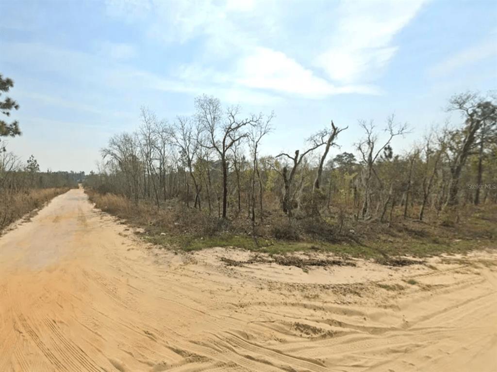 1 & 2 1st Avenue Interlachen, FL 32148 - Photo 1 of 1