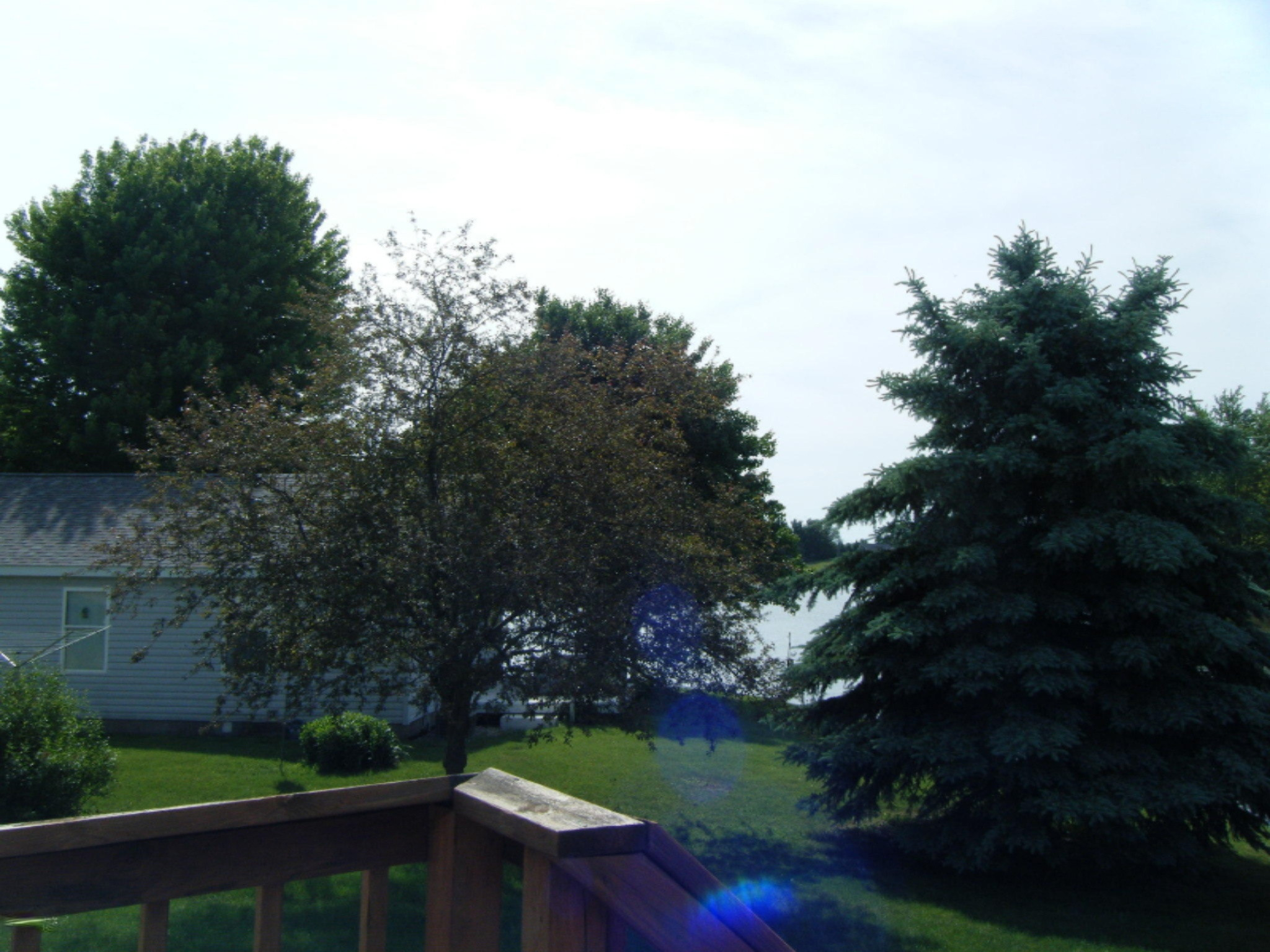 2189 Sampson Road Camden, MI 49232 - Photo 60 of 79 DSCF6806