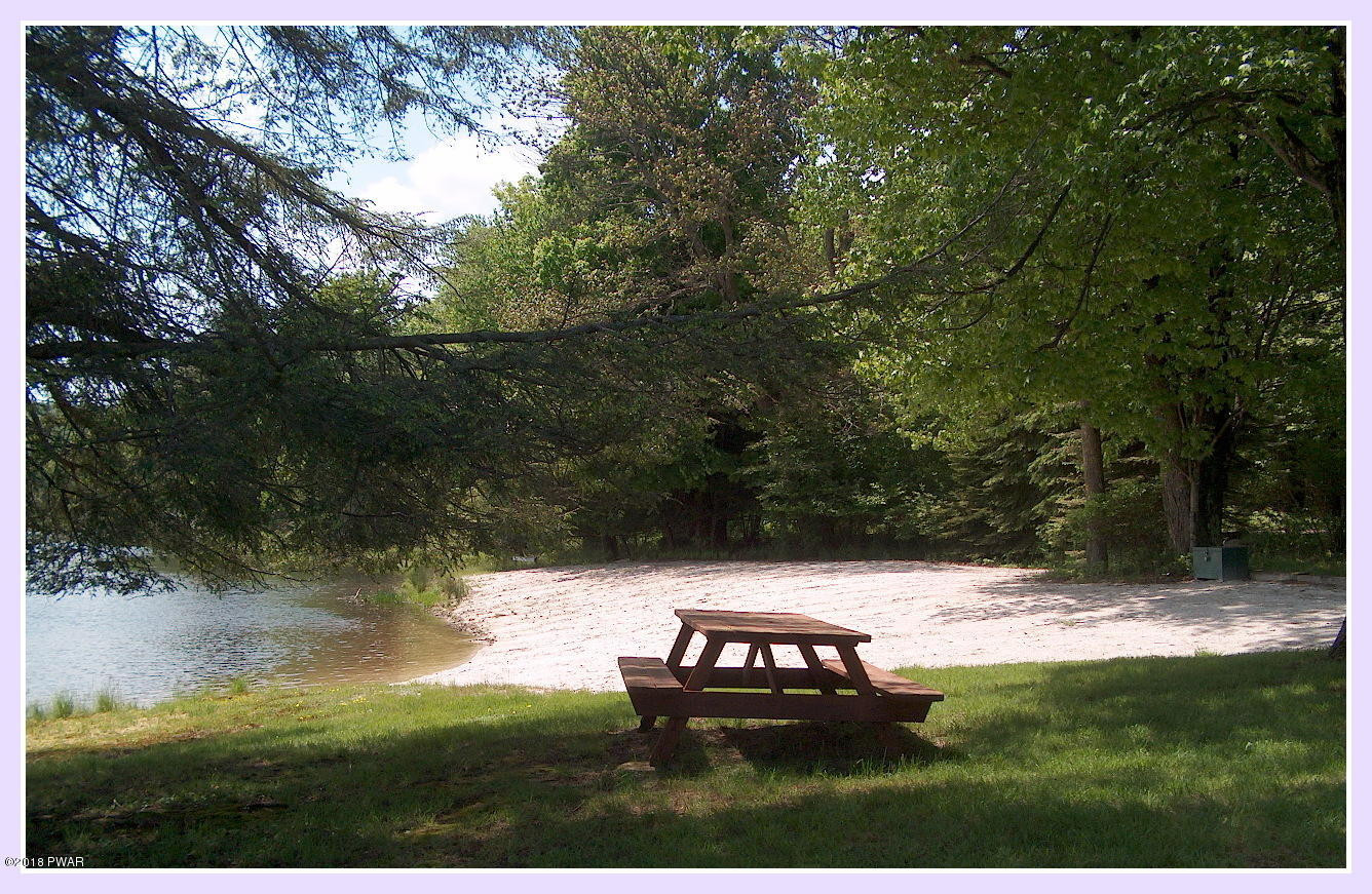 335 Lake Russell Road Newfoundland, PA 18445 - Photo 75 of 87 Private Beach area